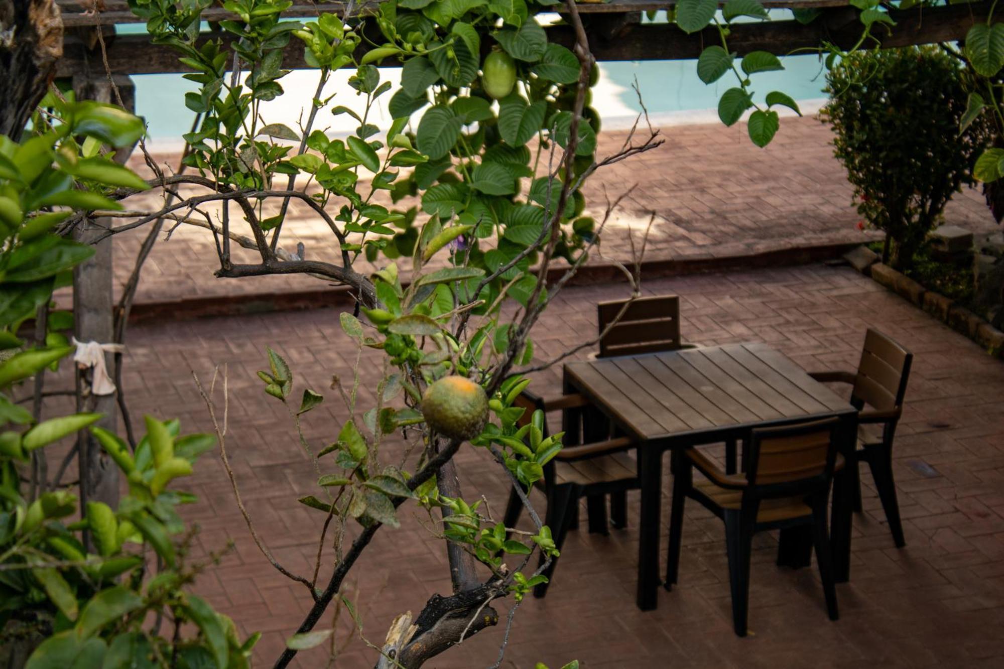 Volcano Hostal Y Restaurante San Salvador Exterior photo